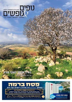 נופים&נופשים | גיליון 264 | 21.1.22