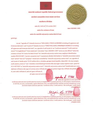 Georgia Injunction Example Calaméo - Georgia Injunction Served