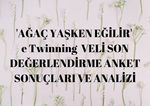 'AĞAÇ YAŞKEN EĞİLİR'  e Twinning PROJESİ VELİ  SON DEĞERLENDİRME ANKETİ SONUÇLARI VE ANALİZİ