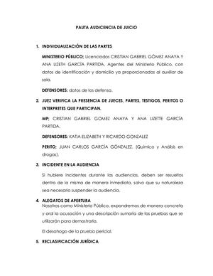 Pauta Audicencia De Juicio Y Individualizacion De Sanciones Y R, Del Daño