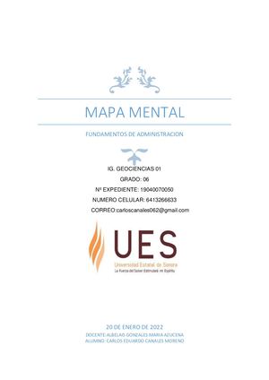 Mapa Mental