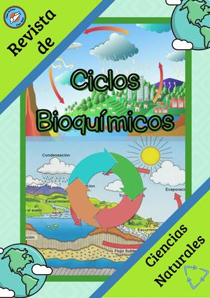 Ciencias Naturales Los Ciclos Biogeoquimicos Proyect 2 Diana Pacalla