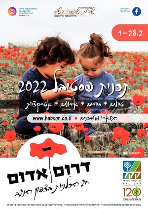 תכניה דרום אדום 2022