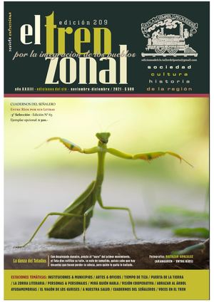El Tren Zonal Nº 209