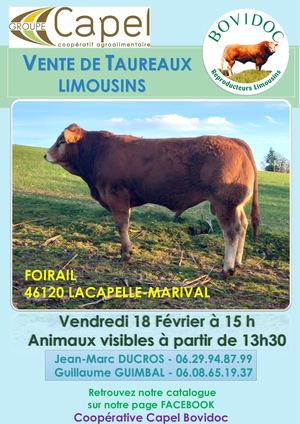 Bovidoc - Vente taureaux limousins Lacapelle-Marival 2022
