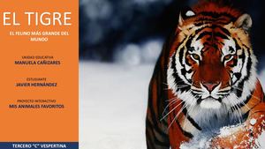 Proyecto Interactivo