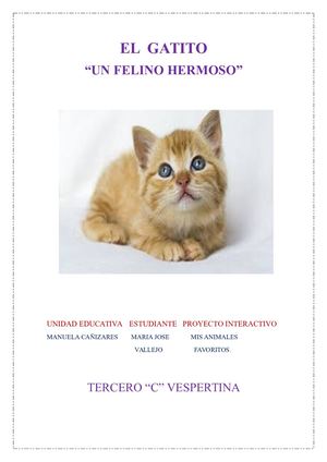 El Gatito Tarea Maria Jose Vallejo