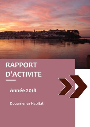 Rapport d'activité DZH 2018