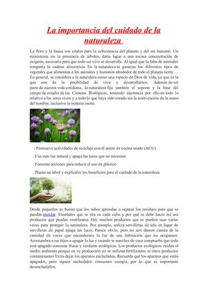La Importancia Del Cuidado De La Naturaleza (1) (1)
