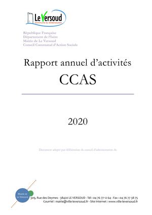 Rapport Activite 2020