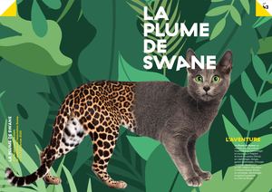 La Plume de Swane n°43 - L'Aventure