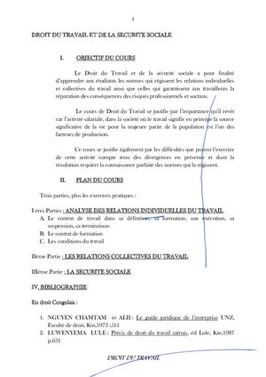 Cours De Droit Du Travail TSHIZANGA(0).