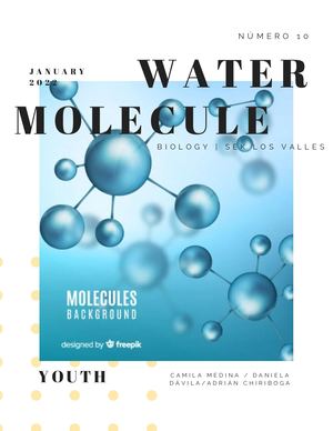 Journal On The Water Molecule