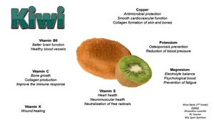 Infographic Kiwi (En).