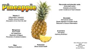 Infographic Pineapple (En).