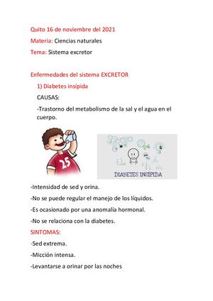 Enfermedades Aparato EXCRETOR