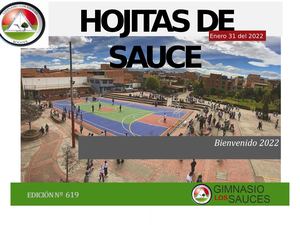 Hojitas De Sauce Nº 619 Enero 31 2022