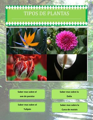 Atenea Proyecto Computación 1