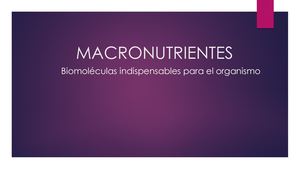 Macronutrientes