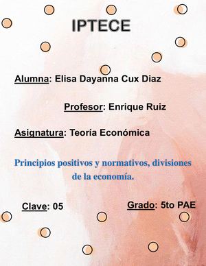 Principios Positivos Y Normativos, Divisiones De La Economía