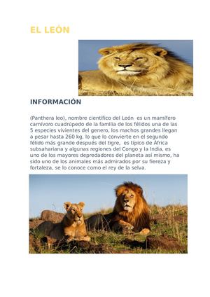 El Leon Jadiel Ocampo