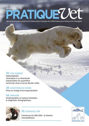 PratiqueVet janvier 2022