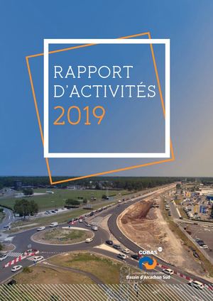 Rapport D'activités COBAS 2019