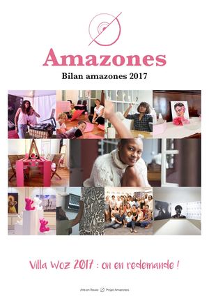 Rapport d'Activités 2017