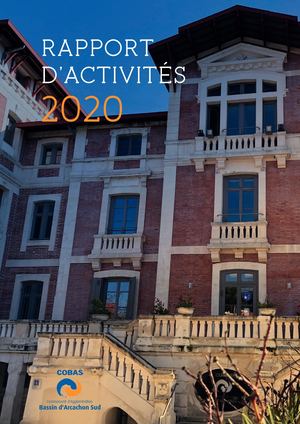 Rapport d'Activités COBAS 2020