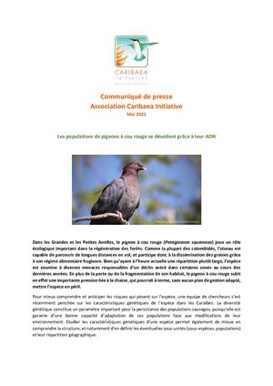 Cambrone Etude Ramier Bleu