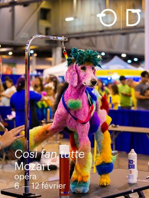 Cosi Fan Tutte Programme De Salle