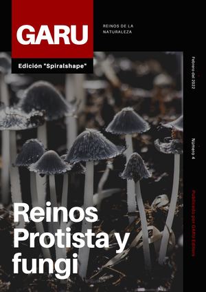 Reinos Protista Y Fungi