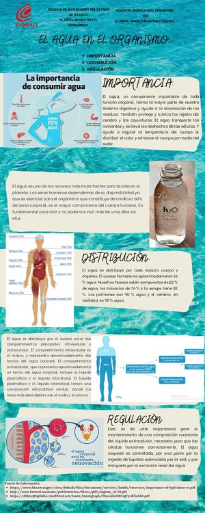 Agua En El Organismo