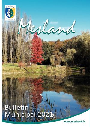 Bulletin Municipal Mesland 2021