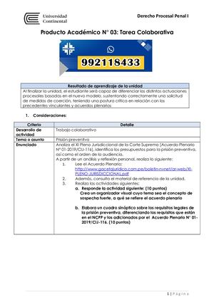 Derecho Procesal Penal I  PA3