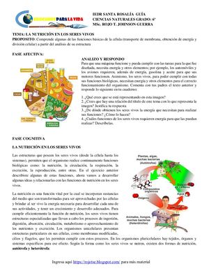 La Nutrición En Los Seres Vivos