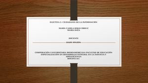 Electiva 1 Ciudadanía De La Información