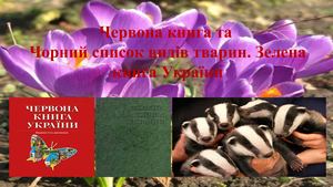 Червона Зелена книги.