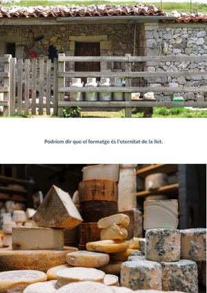 Podriem dir que el formatge és l'eternitat de la llet