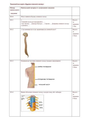 Технологічна карта Будова спинного мозку