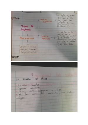 Lectura Superficial Y Lectura Profunda