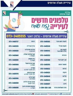 מודעות עירייה 1173