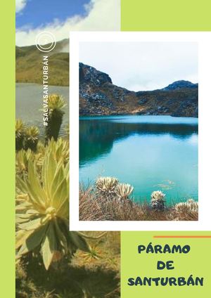 ECOSISTEMA: PÁRAMO DE SANTURBÁN