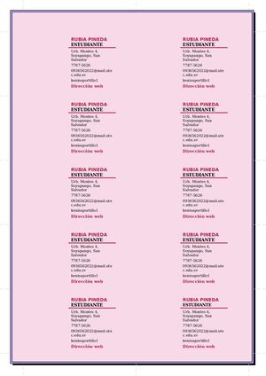 Rubia Pineda Tarjeta De Presentación