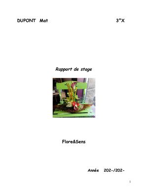 Rapport De Stage Exemple
