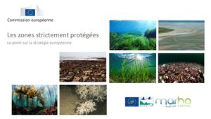 Compilation des resentations Webinaire zones de protection forte #1