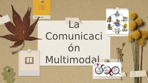Textos Multimodales 11°a,b,c