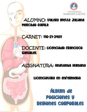 Posiciones Anatomicas Y Regiones Corporales