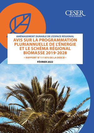 Avis rapport énergie et biomasse 2019-2028