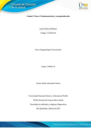 Unidad 1 Tarea 1 Fundamentación Y Conceptualización Lucero Reyes Martinez